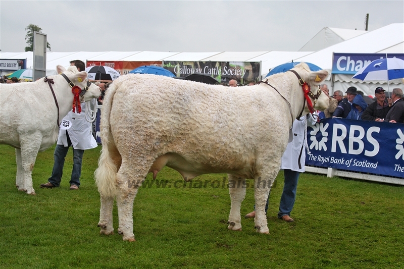 WCC Nagy-Britannia 2012 - Helge